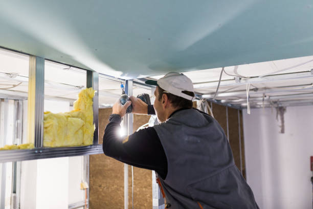 Best Blown-in Insulation in Alma, GA