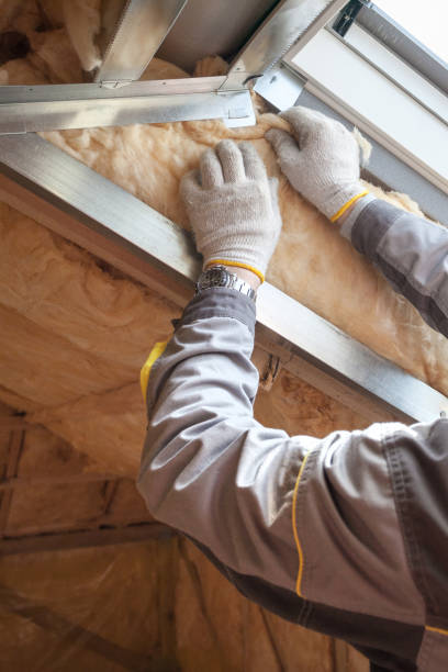 Best Cellulose Insulation in Alma, GA