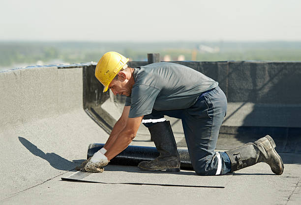 Best Geographic-Specific Insulation Services in Alma, GA