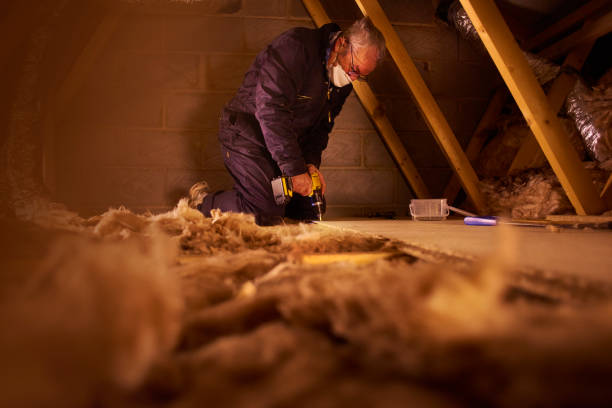 Best DIY Insulation Kits and Guidance in Alma, GA